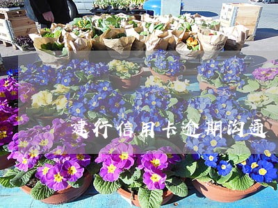 建行信用卡逾期沟通 建行信用卡逾期沟通