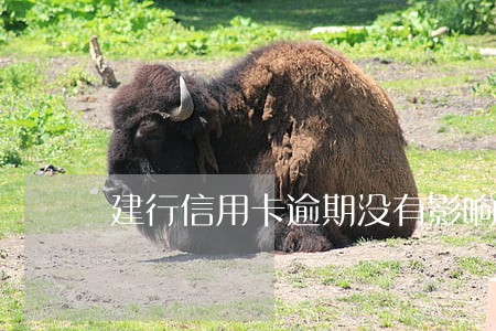 建行信用卡逾期没有影响么 建行信用卡逾期没有影响么