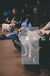建行信用卡逾期法务联系 建行信用卡逾期法务联系