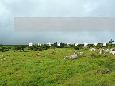 建行信用卡逾期滞纳 建行信用卡逾期滞纳