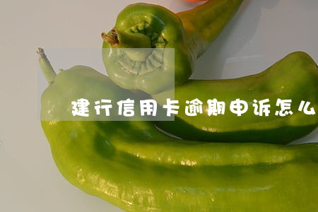 建行信用卡逾期申诉怎么申诉 建行信用卡逾期申诉怎么申诉