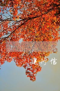 建行信用卡逾期申请减息 建行信用卡逾期申请减息