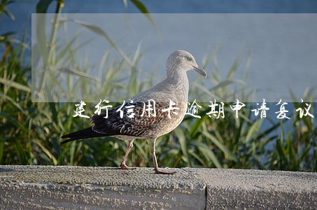 建行信用卡逾期申请复议在哪里找 建行信用卡逾期申请复议在哪里找