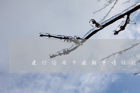 建行信用卡逾期申请征信异议 建行信用卡逾期申请征信异议