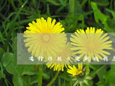 建行信用卡逾期的利息怎么算 建行信用卡逾期的利息怎么算