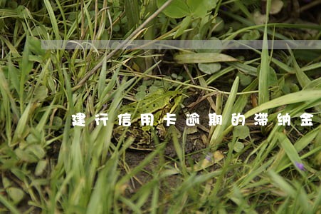 建行信用卡逾期的滞纳金是多少 建行信用卡逾期的滞纳金是多少