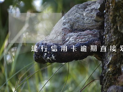 建行信用卡逾期直接划扣工资