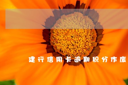 建行信用卡逾期积分作废