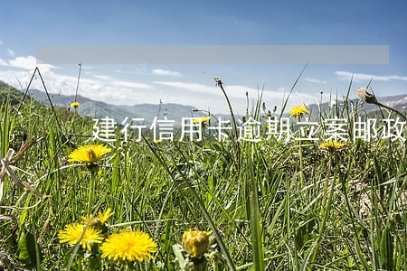 建行信用卡逾期立案邮政显示么 建行信用卡逾期立案邮政显示么