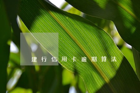 建行信用卡逾期算法 建行信用卡逾期算法