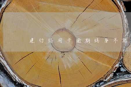 建行信用卡逾期终身不能申请