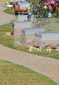 建行信用卡逾期给村里打电话
