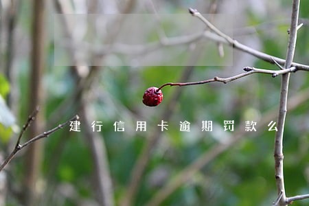 建行信用卡逾期罚款么 建行信用卡逾期罚款么