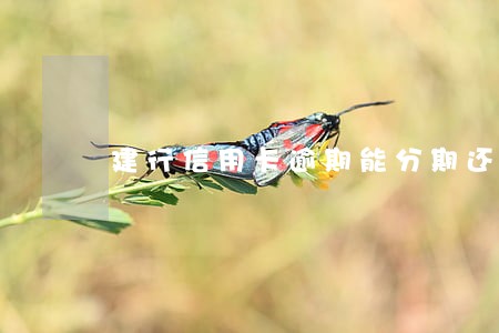建行信用卡逾期能分期还款吗