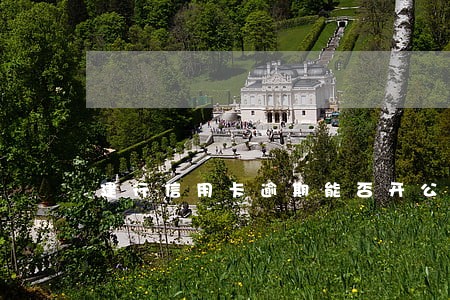 建行信用卡逾期能否开公账