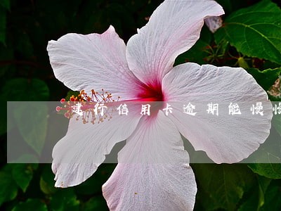 建行信用卡逾期能慢慢还吗 建行信用卡逾期能慢慢还吗