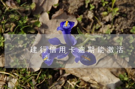 建行信用卡逾期能激活 建行信用卡逾期能激活