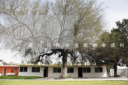 建行信用卡逾期能申请利息减免吗 建行信用卡逾期能申请利息减免吗