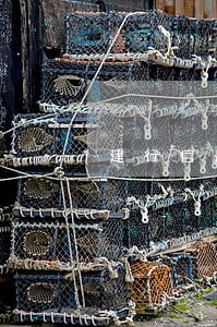 建行信用卡逾期能申请撤销吗 建行信用卡逾期能申请撤销吗