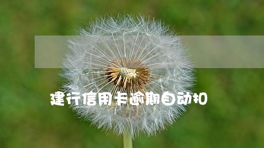 建行信用卡逾期自动扣