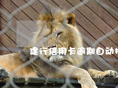 建行信用卡逾期自动扣款储蓄卡 建行信用卡逾期自动扣款储蓄卡