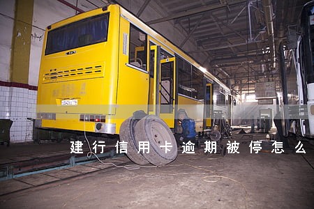建行信用卡逾期被停怎么开通 建行信用卡逾期被停怎么开通
