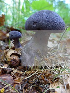 建行信用卡逾期被冻结储蓄卡