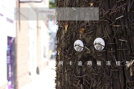 建行信用卡逾期被冻结怎么处理 建行信用卡逾期被冻结怎么处理