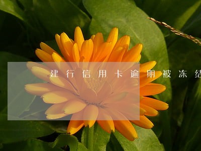建行信用卡逾期被冻结还能用吗