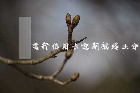 建行信用卡逾期被终止分期 建行信用卡逾期被终止分期