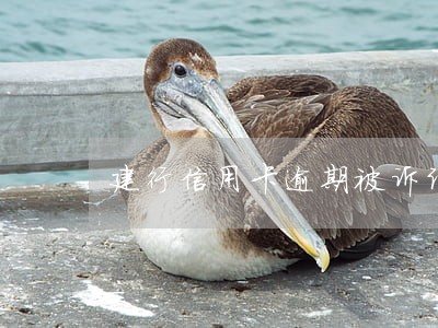 建行信用卡逾期被诉讼 建行信用卡逾期被诉讼