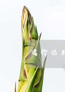 建行信用卡逾期要去网点消除