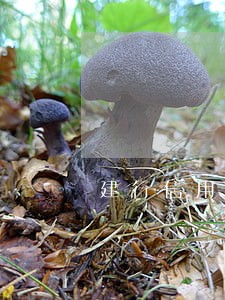 建行信用卡逾期要求全额结清 建行信用卡逾期要求全额结清