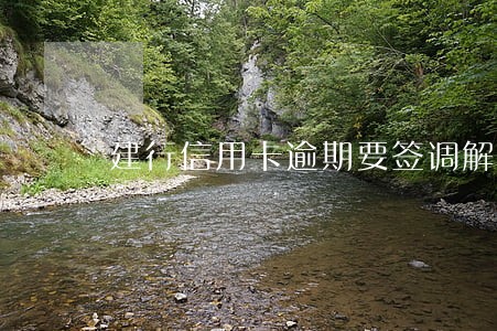 建行信用卡逾期要签调解 建行信用卡逾期要签调解