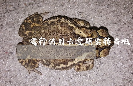 建行信用卡逾期要转当地 建行信用卡逾期要转当地