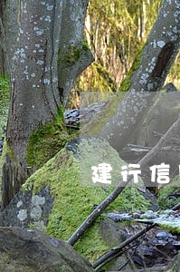 建行信用卡逾期解冻办法 建行信用卡逾期解冻办法