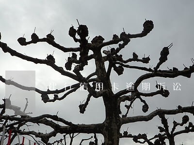 建行信用卡逾期诉讼 建行信用卡逾期诉讼