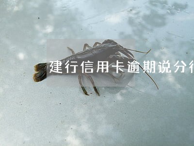 建行信用卡逾期说分行处理 建行信用卡逾期说分行处理