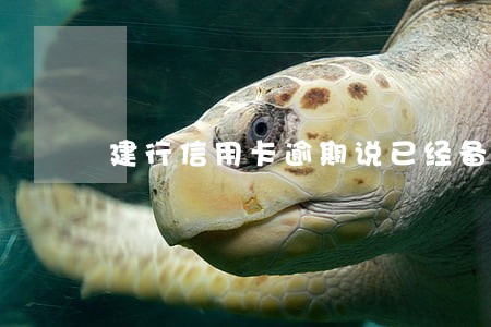 建行信用卡逾期说已经备案了 建行信用卡逾期说已经备案了