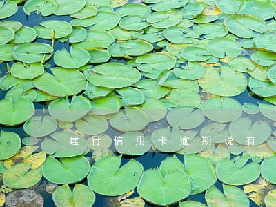 建行信用卡逾期说有工作人员来