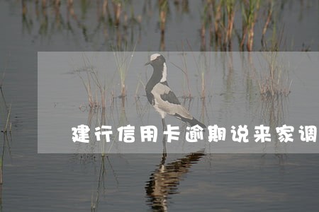 建行信用卡逾期说来家调查 建行信用卡逾期说来家调查