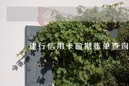 建行信用卡逾期账单查询明细 建行信用卡逾期账单查询明细