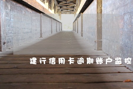 建行信用卡逾期账户监控