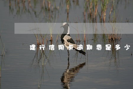 建行信用卡逾期费是多少