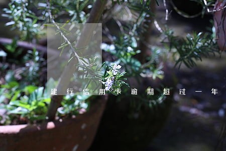 建行信用卡逾期超过一年 建行信用卡逾期超过一年