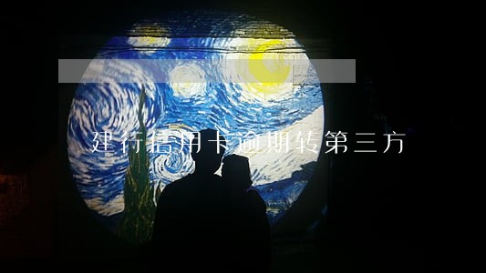 建行信用卡逾期转第三方 建行信用卡逾期转第三方