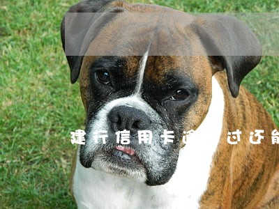 建行信用卡逾期过还能补办吗