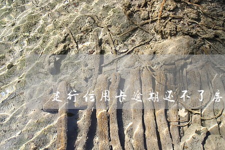 建行信用卡逾期还不了房贷