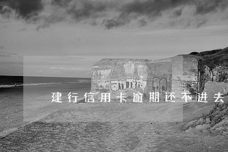 建行信用卡逾期还不进去钱
