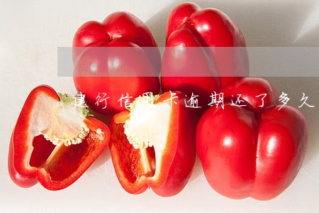 建行信用卡逾期还了多久注销好 建行信用卡逾期还了多久注销好